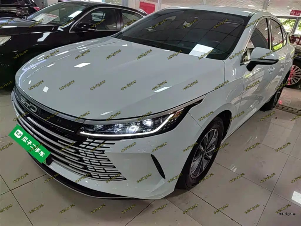 BYD Destroyer 05 2024