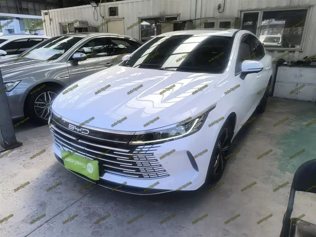 BYD Destroyer 05 2022