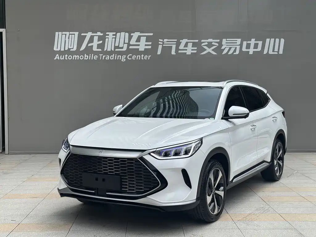 BYD PLUS New Energy 2022