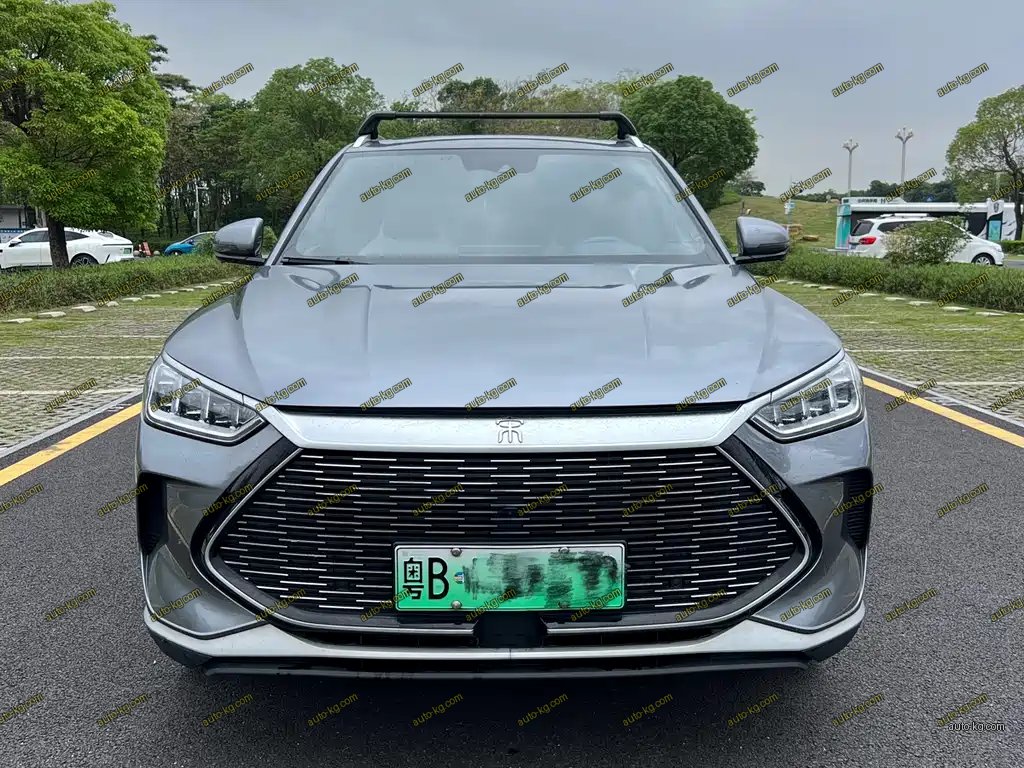 BYD PLUS New Energy 2022