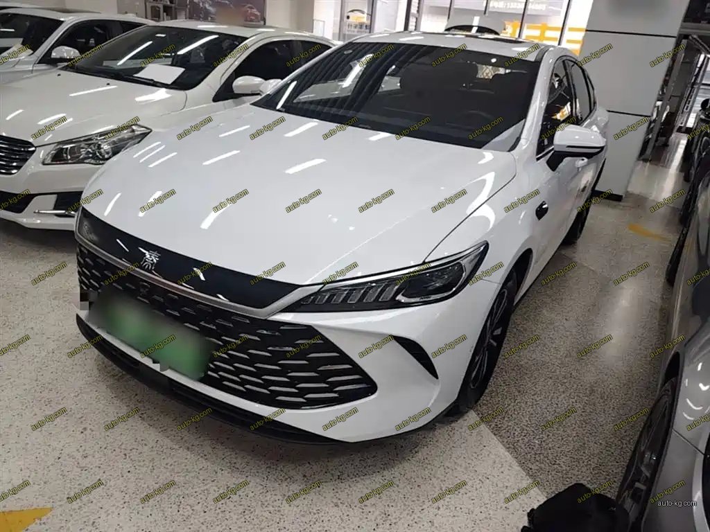 BYD Qin PLUS 2025