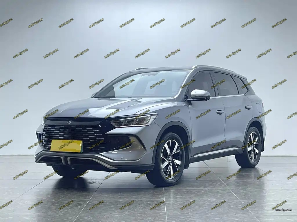 BYD Pro New Energy 2024