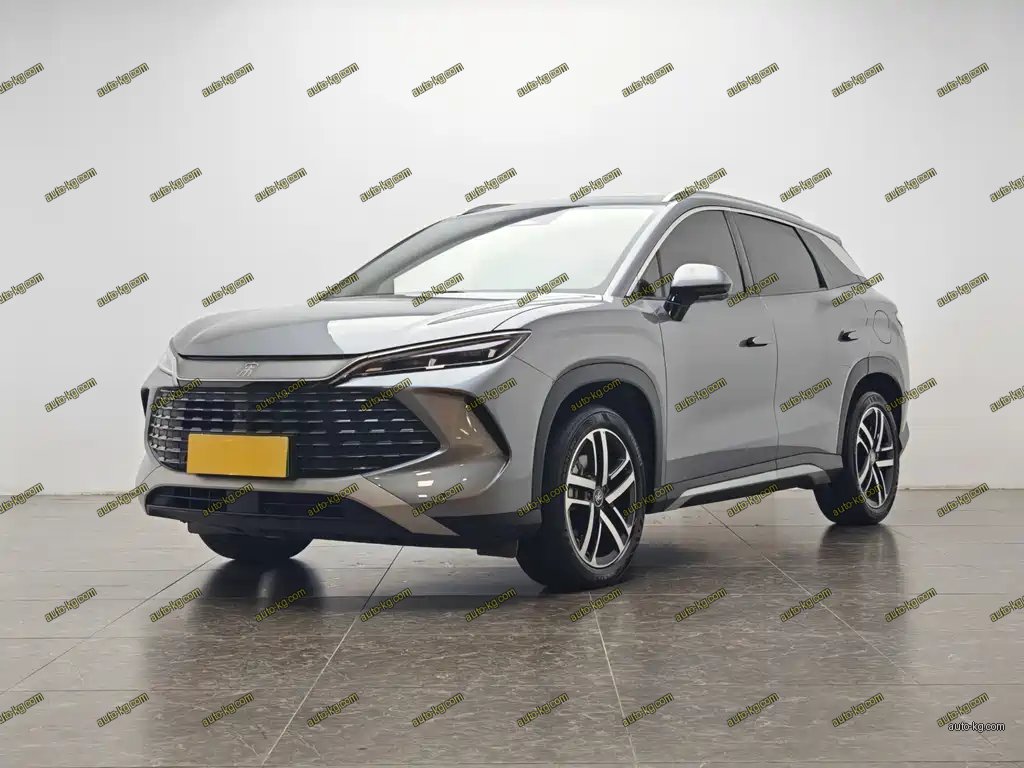 BYD L DM-i 2024