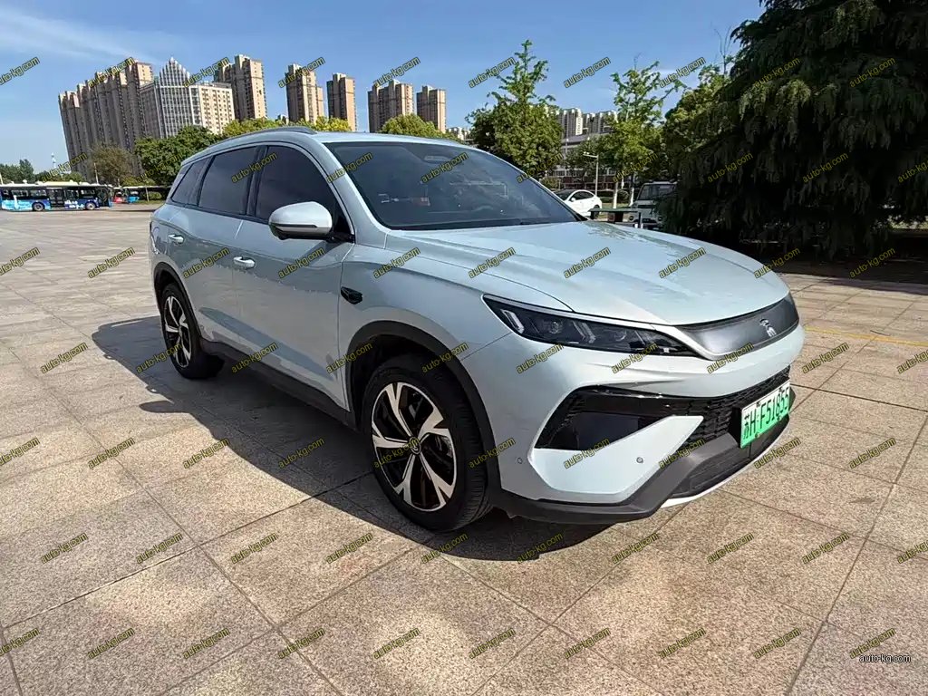 BYD Pro New Energy 2026