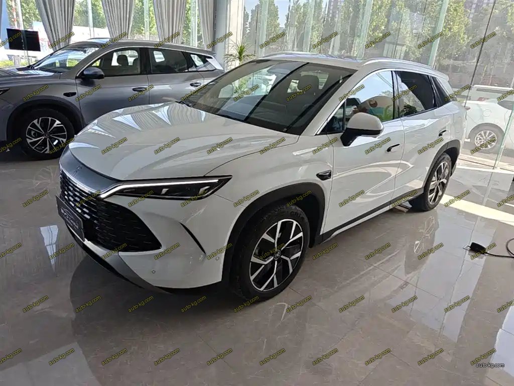 BYD L DM-i 2025