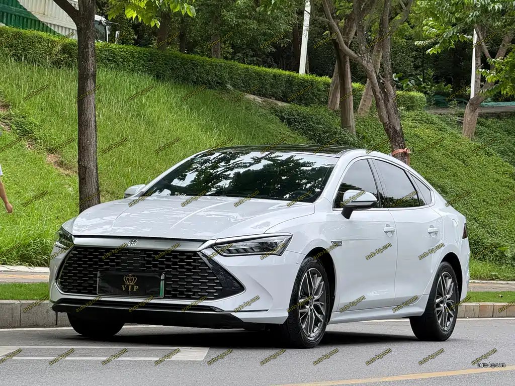 BYD Qin PLUS 2022