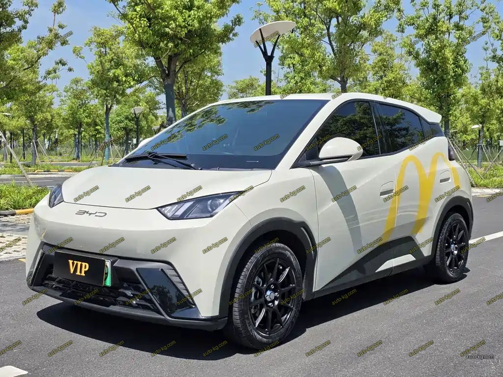 BYD Seagull 2024