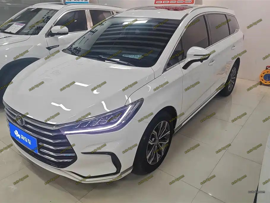 BYD MAX 2020