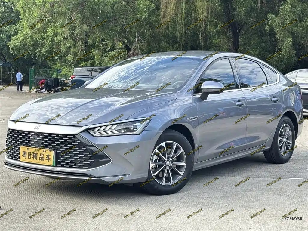 BYD Qin PLUS 2024