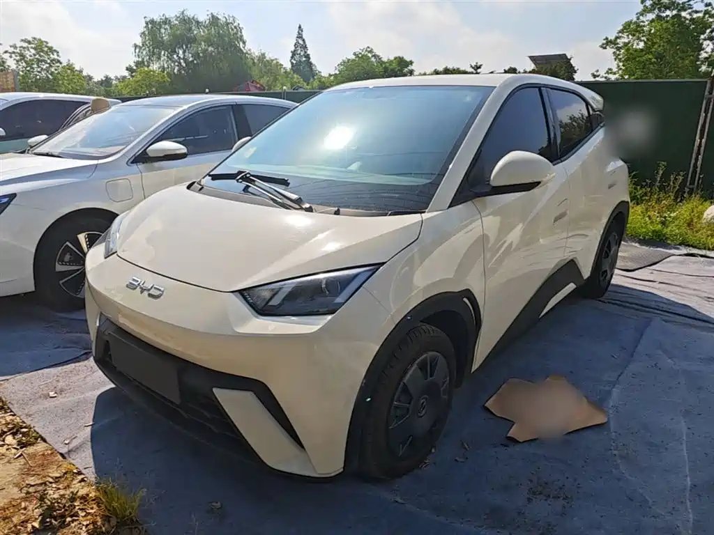 BYD Seagull 2024