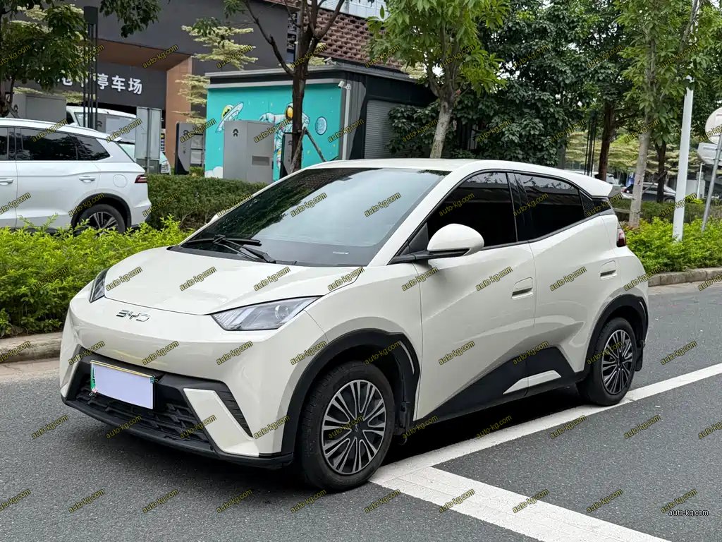 BYD Seagull 2025