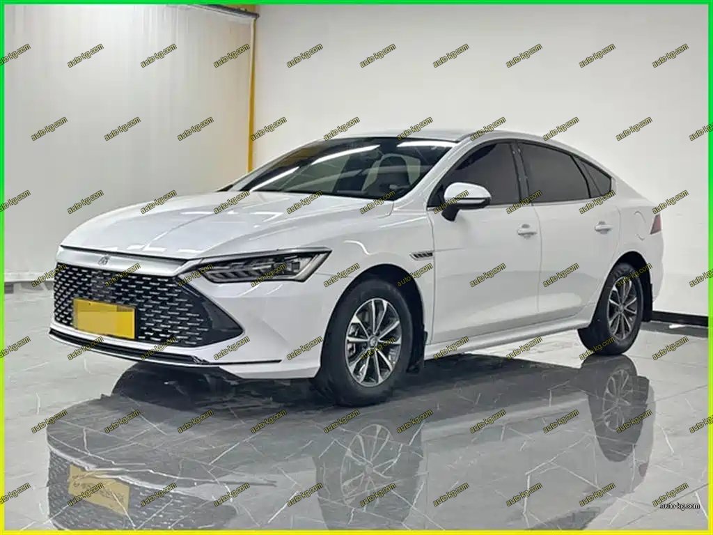 BYD Qin PLUS 2024