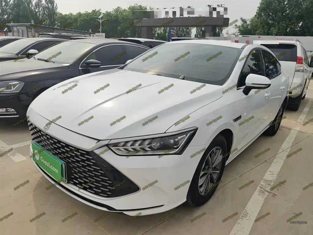 BYD Qin PLUS 2024