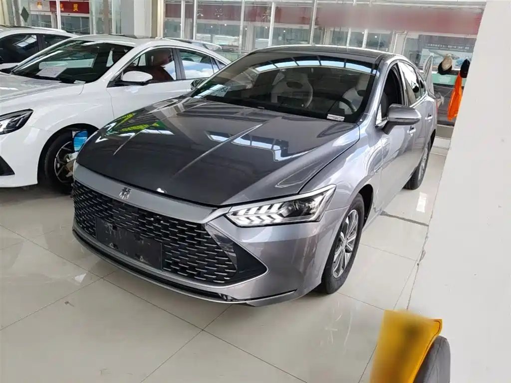 BYD Qin PLUS 2024