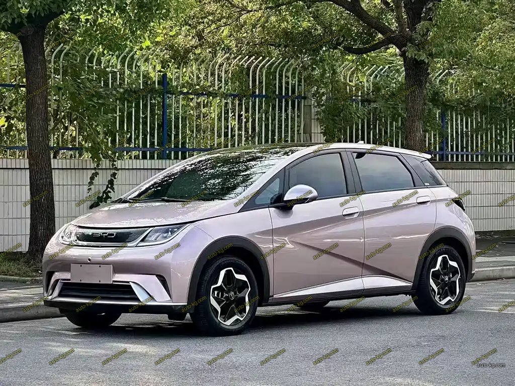 BYD Dolphin 2022