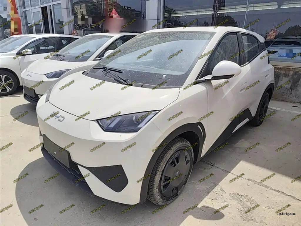 BYD Seagull 2026