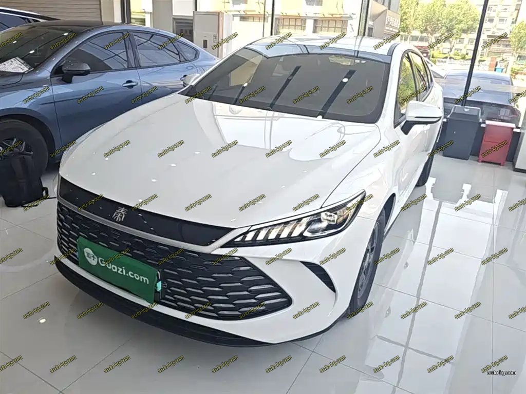 BYD Qin PLUS 2025