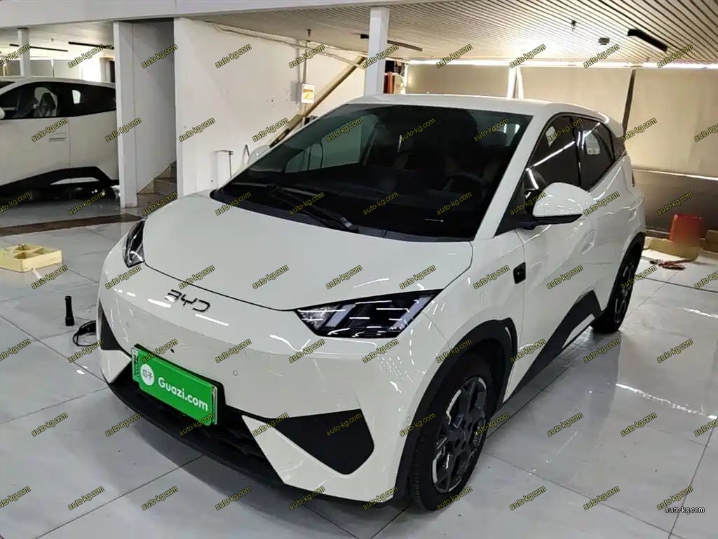 BYD Seagull 2025