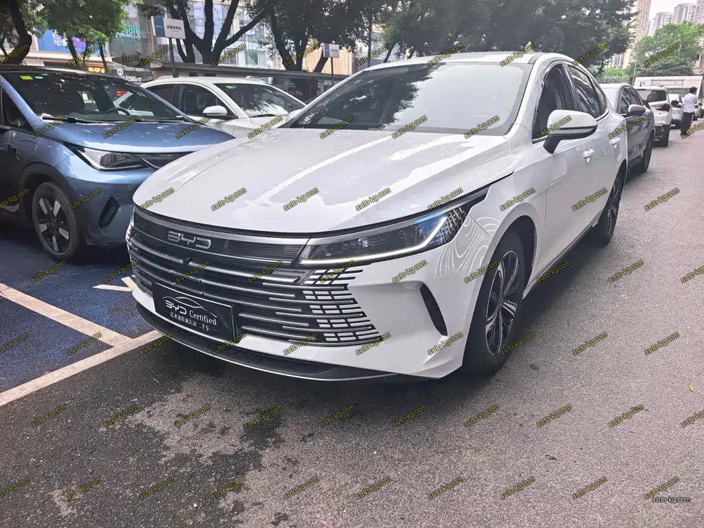 BYD Destroyer 05 2024