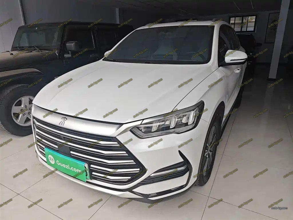BYD Pro New Energy 2022