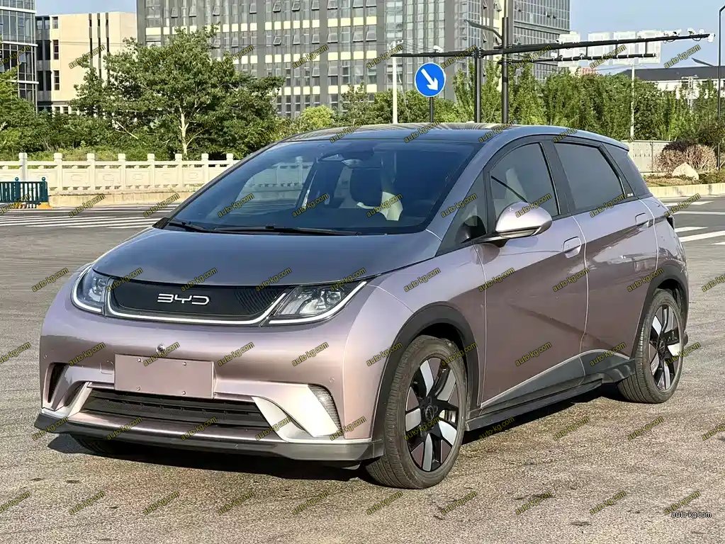 BYD Dolphin 2024