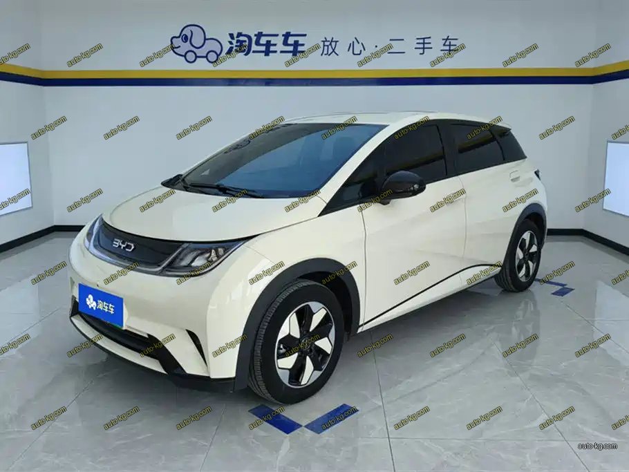BYD Dolphin 2024