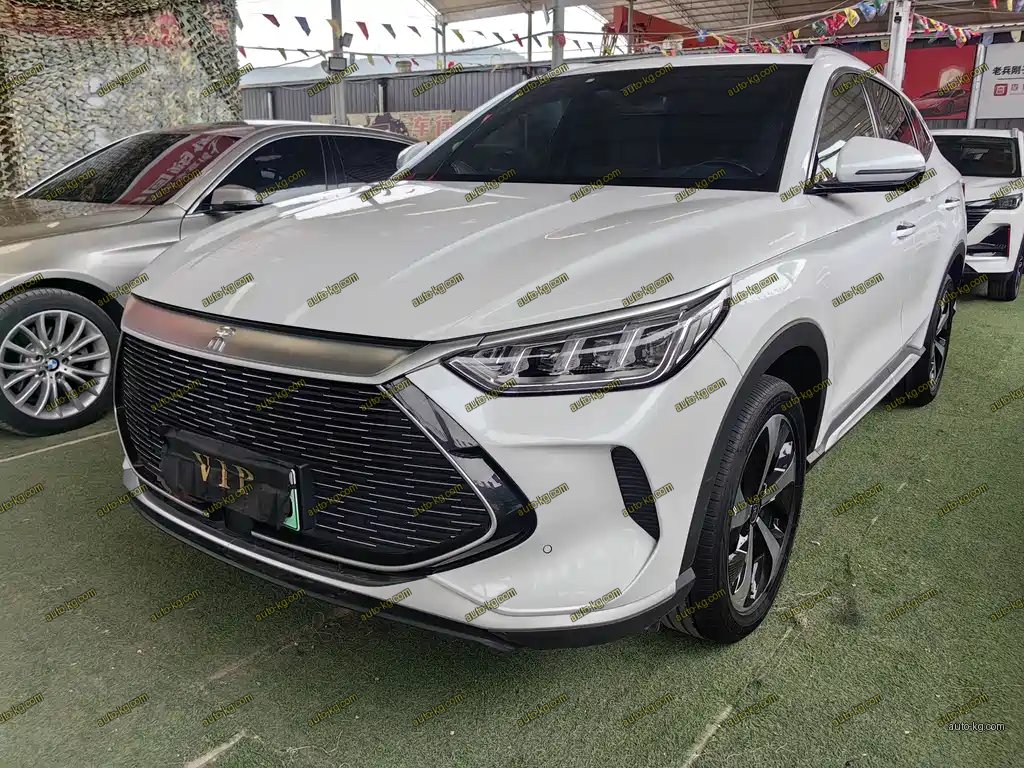BYD PLUS New Energy 2022