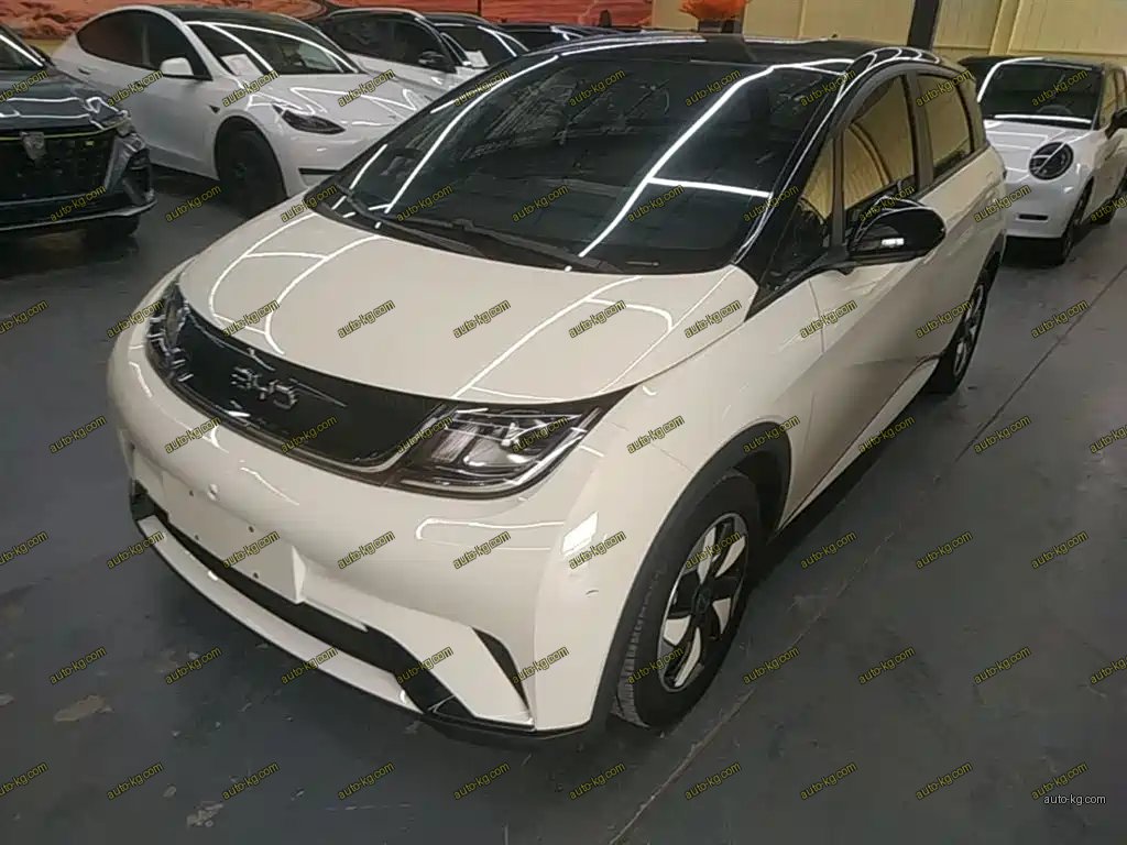 BYD Dolphin 2025