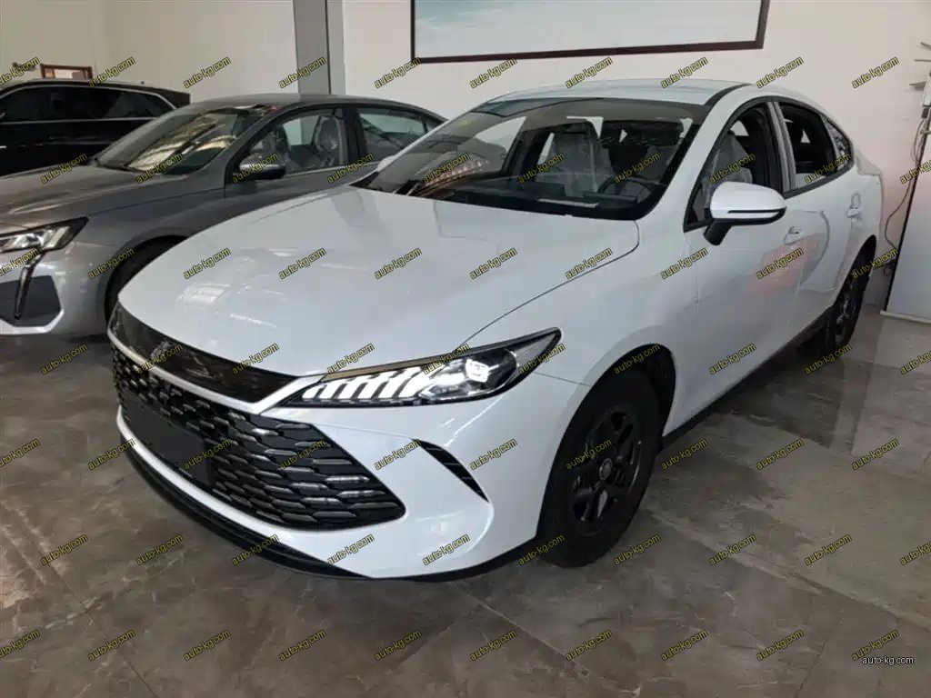 BYD Qin PLUS 2026