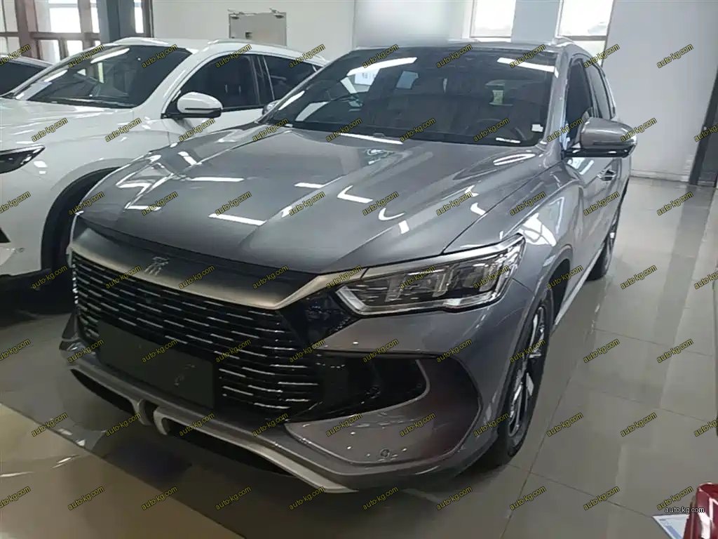 BYD Pro New Energy 2023