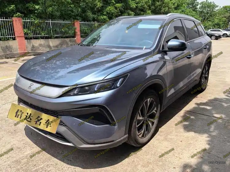 BYD Pro New Energy 2025