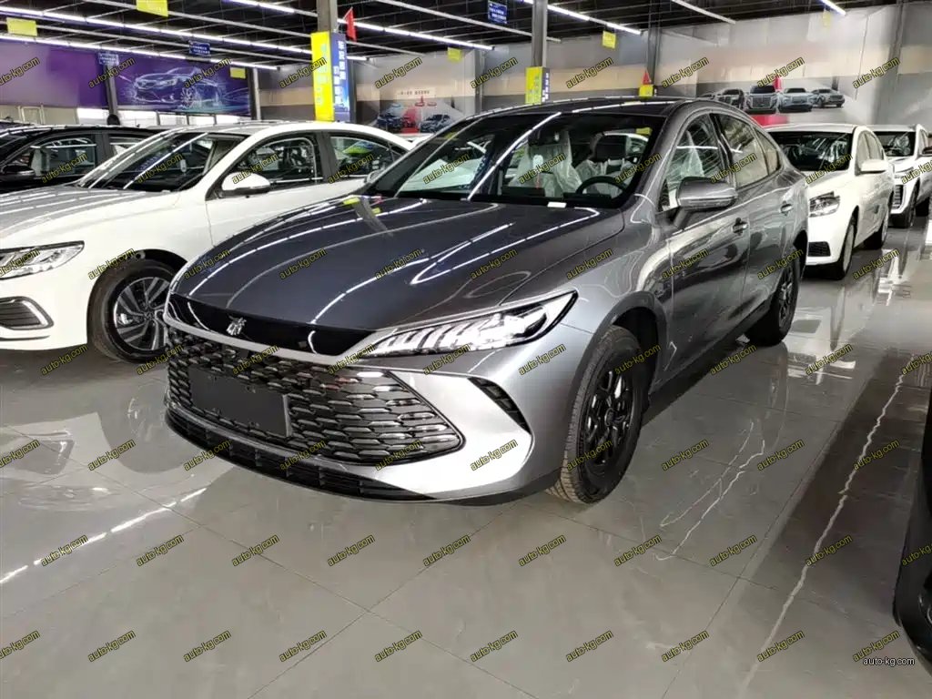 BYD Qin PLUS 2026