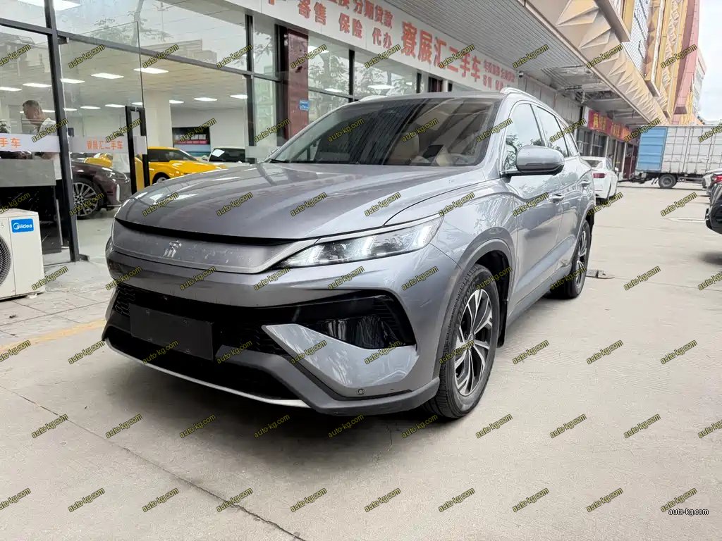 BYD Pro New Energy 2025