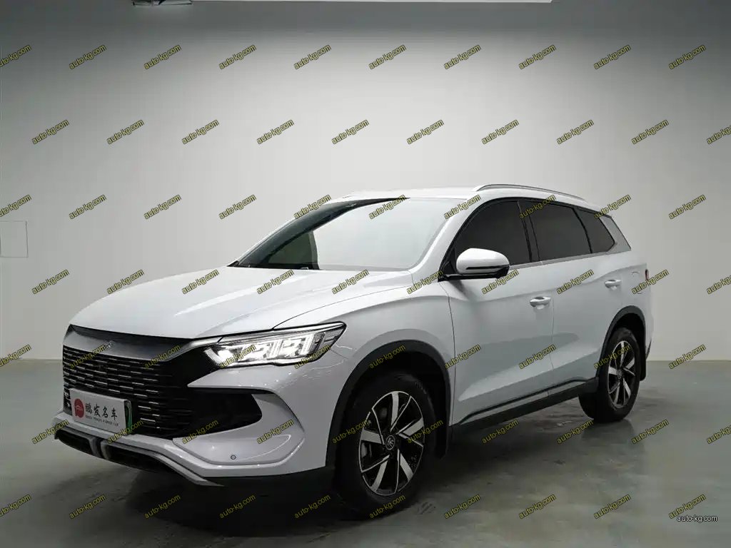 BYD Pro New Energy 2025