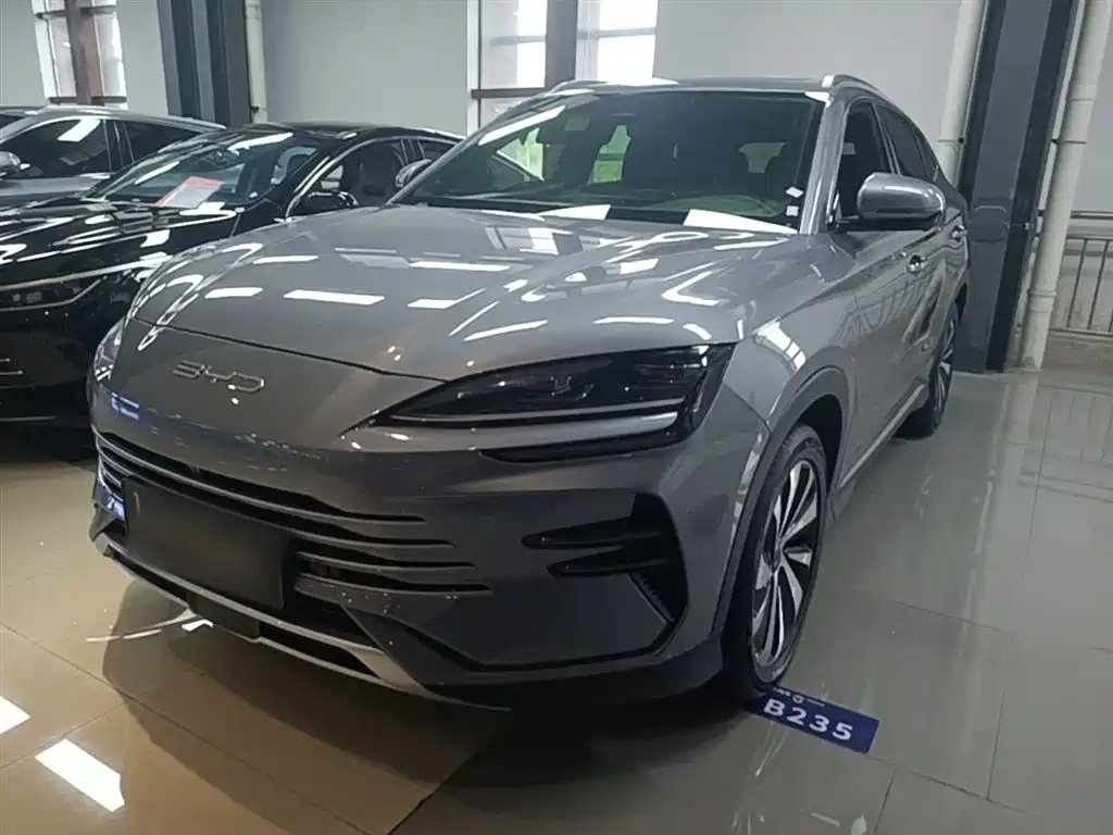 BYD PLUS New Energy 2024