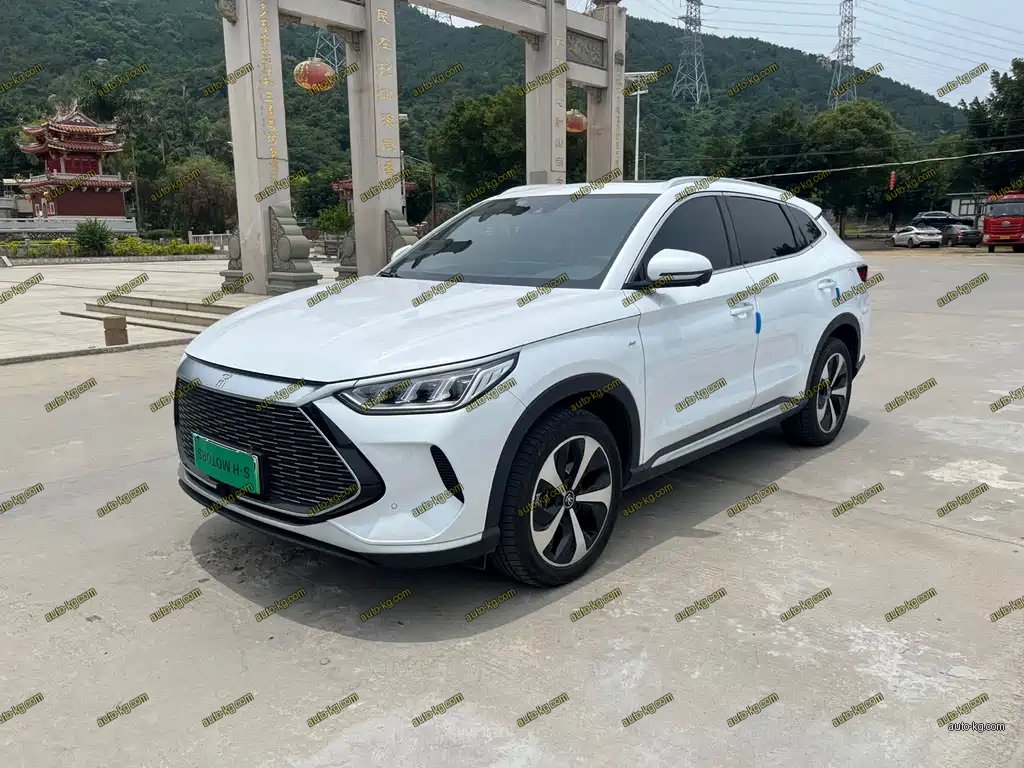 BYD PLUS New Energy 2023