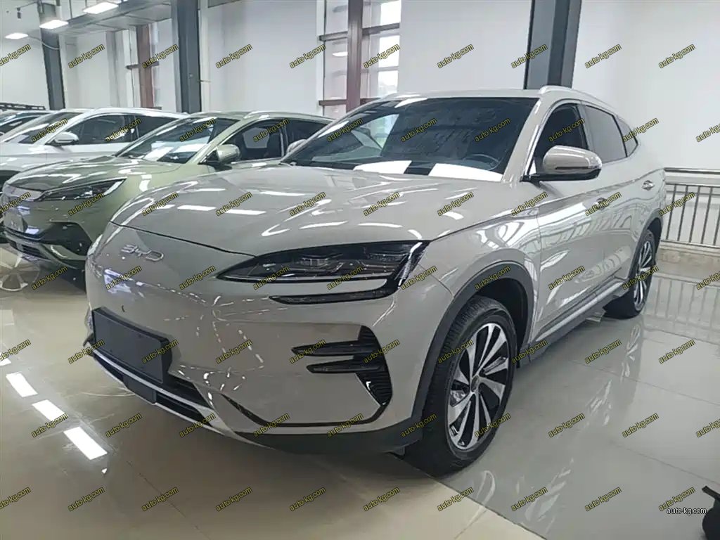 BYD PLUS New Energy 2024