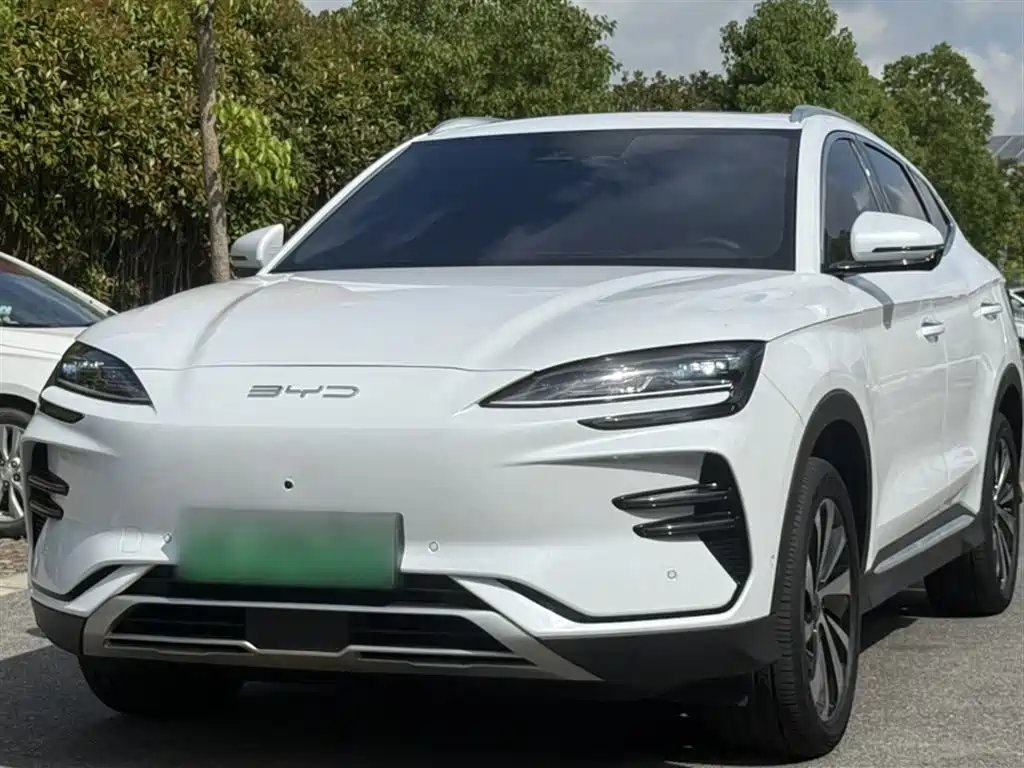 BYD PLUS New Energy 2024