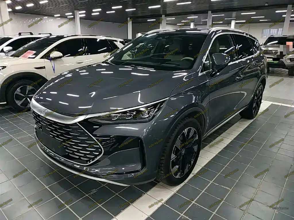 BYD Tang New Energy 2024