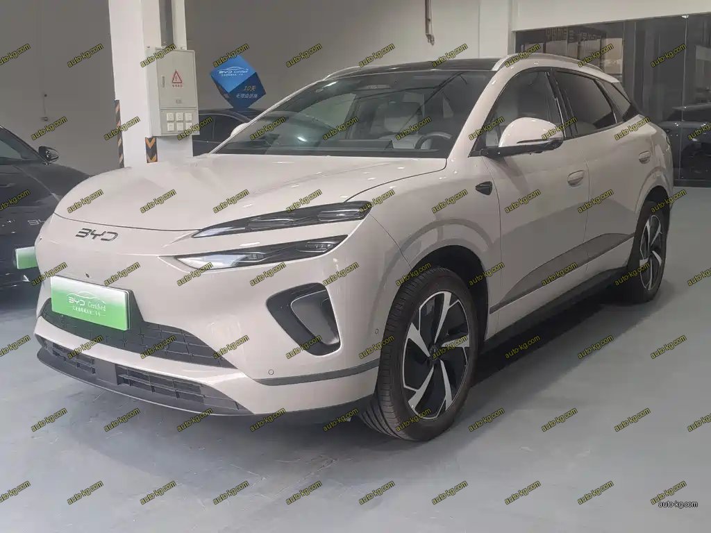 BYD 海狮06 2025