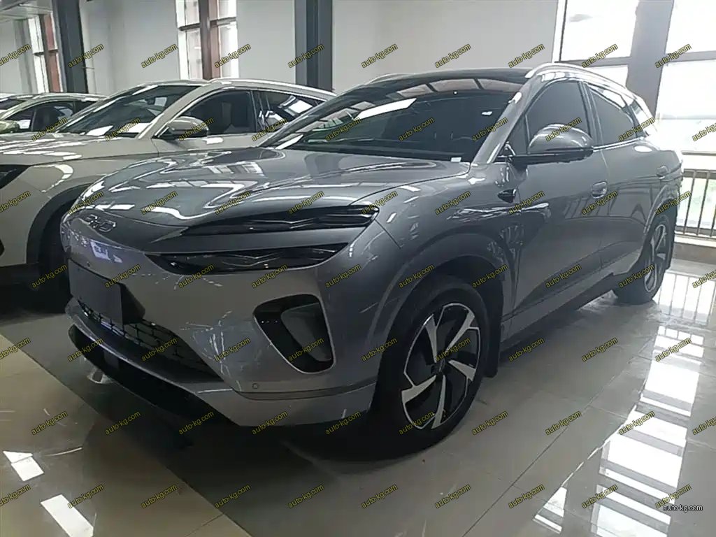 BYD 海狮06 2025