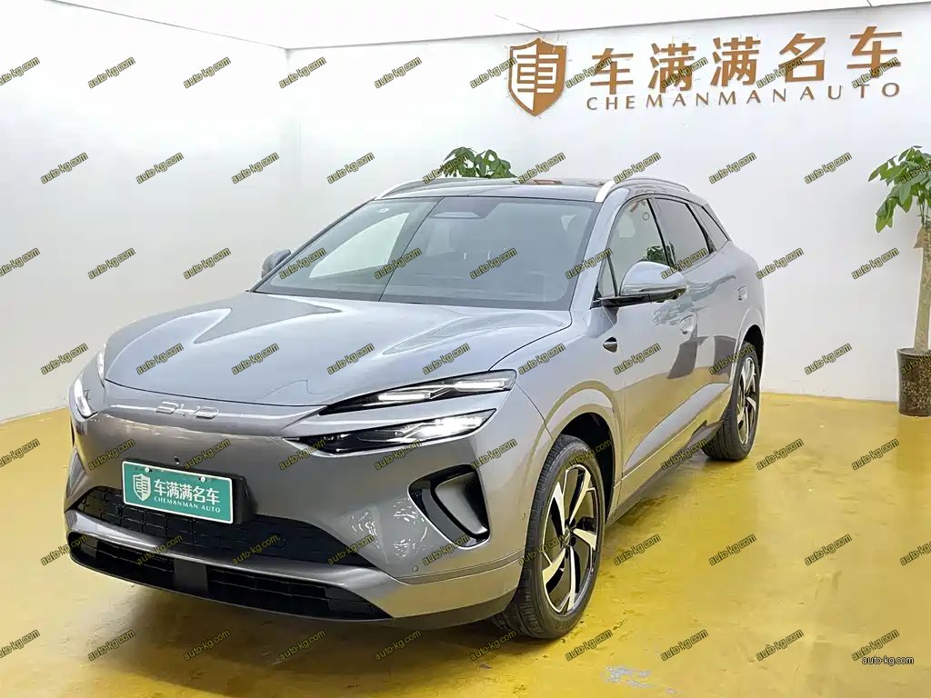 BYD 海狮06 2025