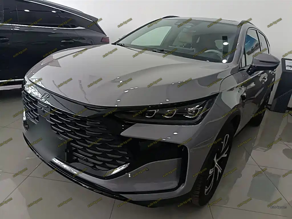 BYD Tang New Energy 2025