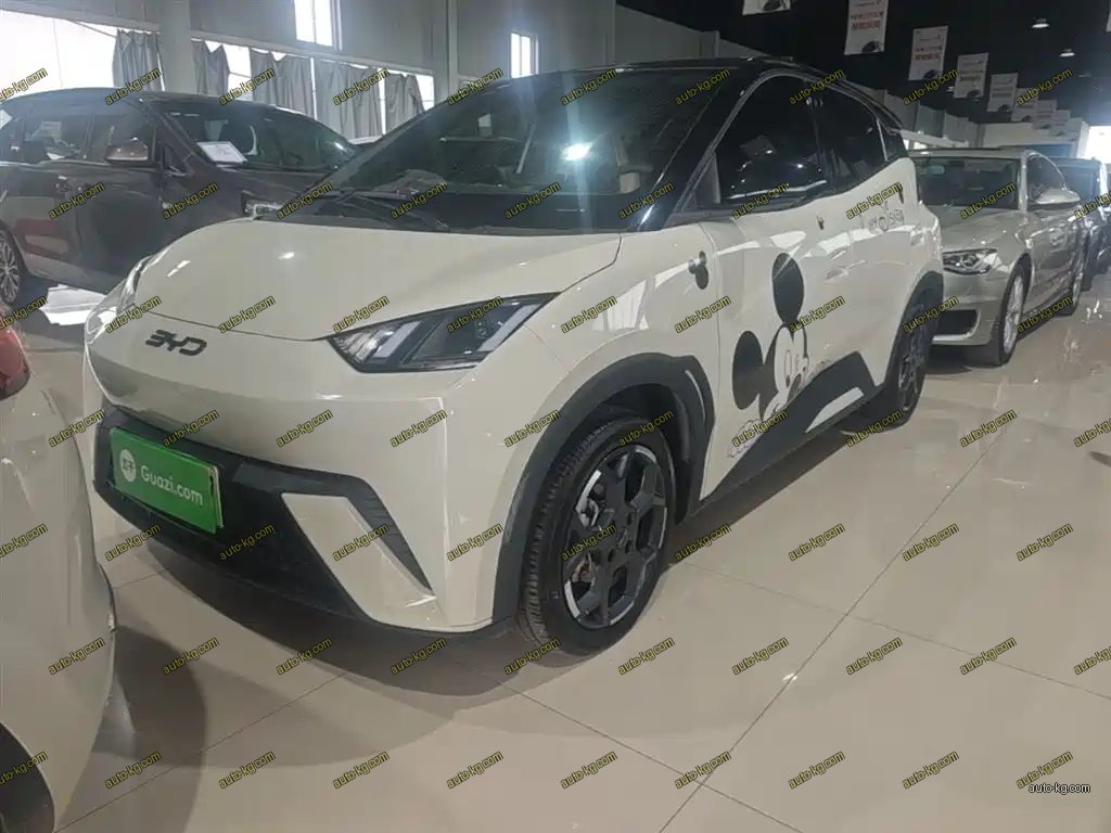 BYD Seagull 2025