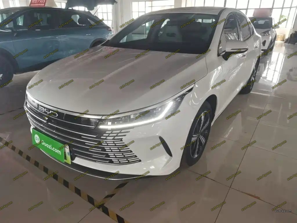 BYD Destroyer 05 2024