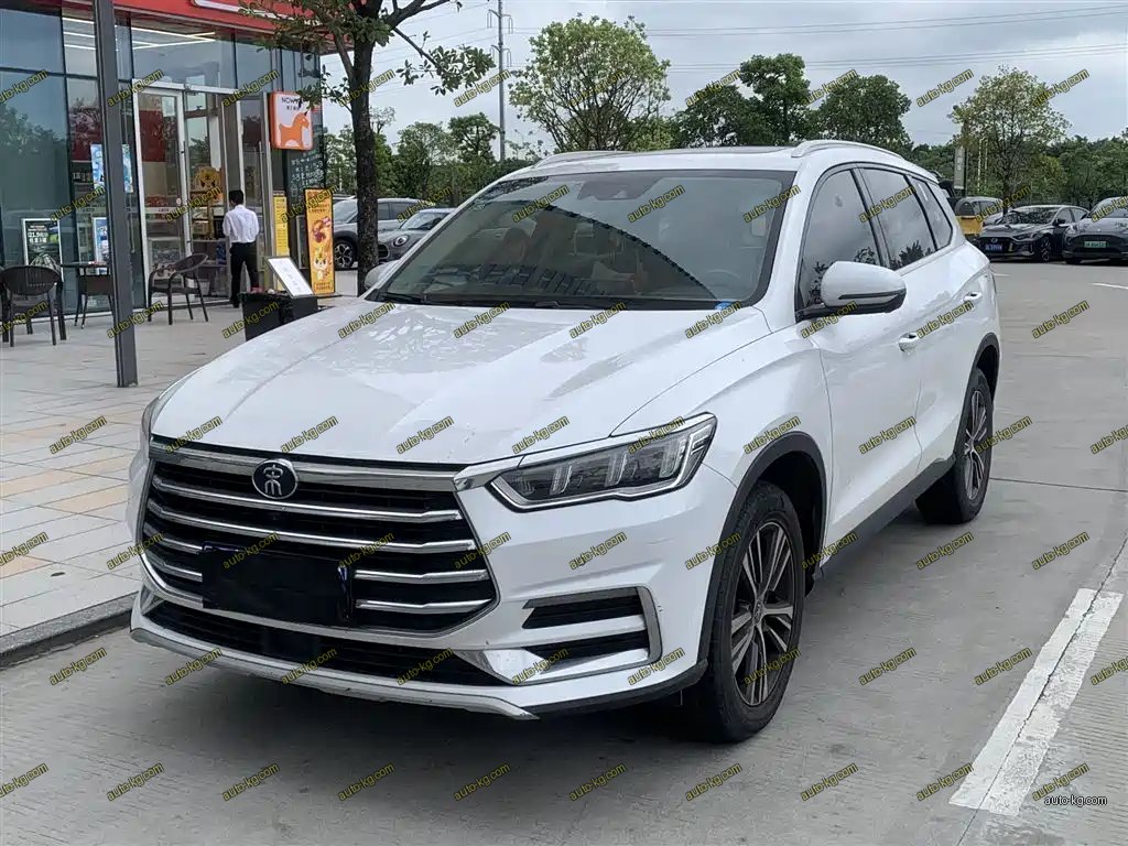 BYD Pro 2019