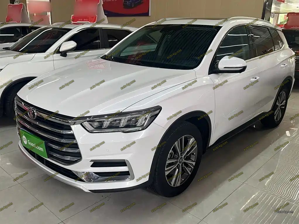BYD Pro 2020