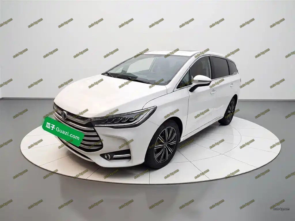 BYD MAX New Energy 2019