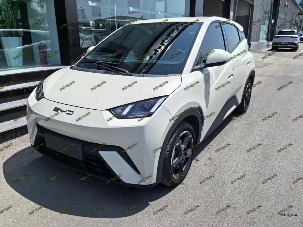 BYD Seagull 2023