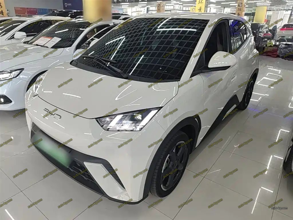 BYD Seagull 2023